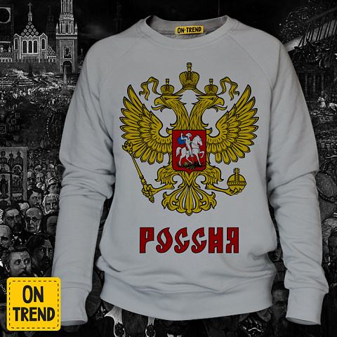 картинка Мужская толстовка "РОССИЯ" магазин  ON-TREND являющийся производителем одежды из хлопка высшего качества