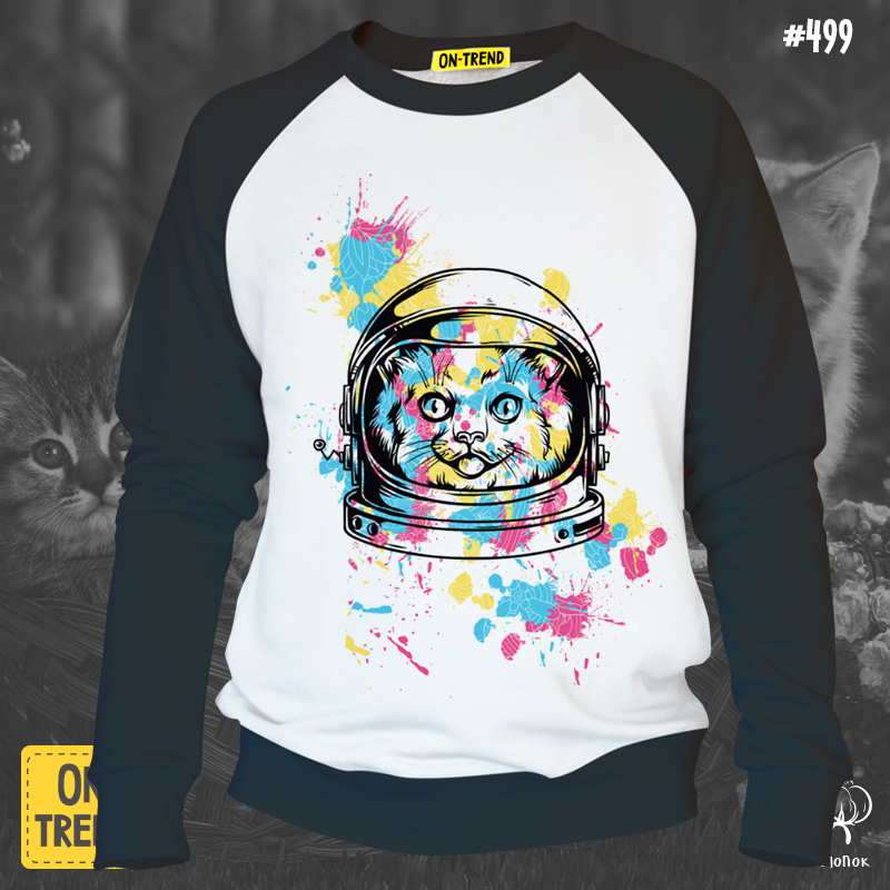 картинка Мужская толстовка "Кот в Космосе" от магазина  ON-TREND