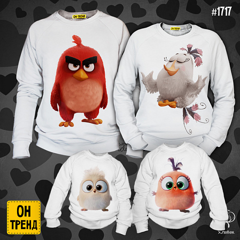 картинка Семейные толстовки "Angry Birds" магазин  ON-TREND являющийся производителем одежды из хлопка высшего качества