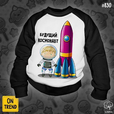 картинка Детская толстовка "Буду космонавтом" магазин  ON-TREND являющийся производителем одежды из хлопка высшего качества