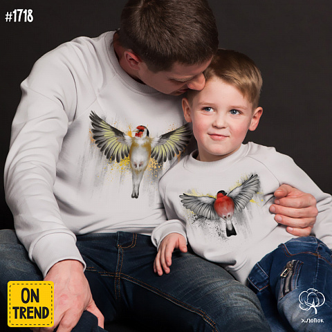 картинка Толстовки для папы и ребенка "Птички" магазин  ON-TREND являющийся производителем одежды из хлопка высшего качества