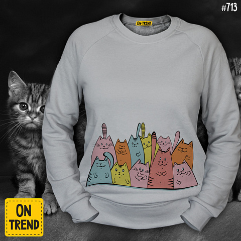 картинка Женская толстовка "Разноцветные Коты" магазин  ON-TREND являющийся производителем одежды из хлопка высшего качества